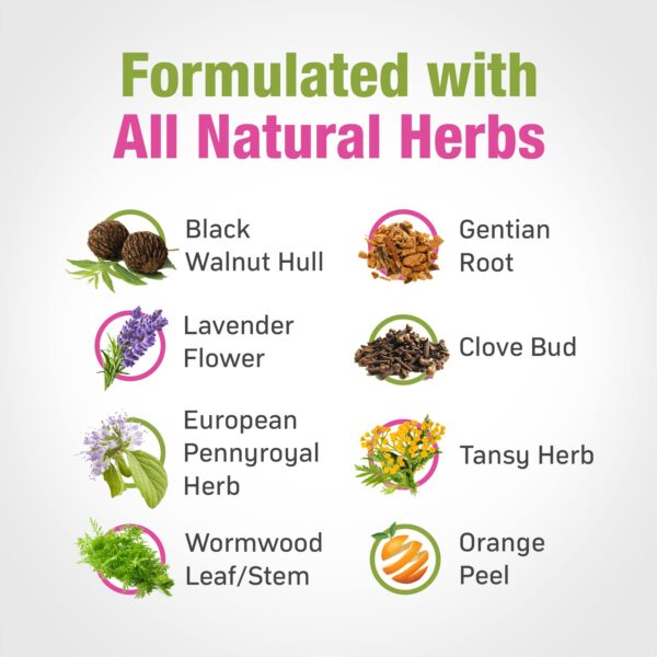 Limpiador digestivo para niños Cedar Bear sin alcohol