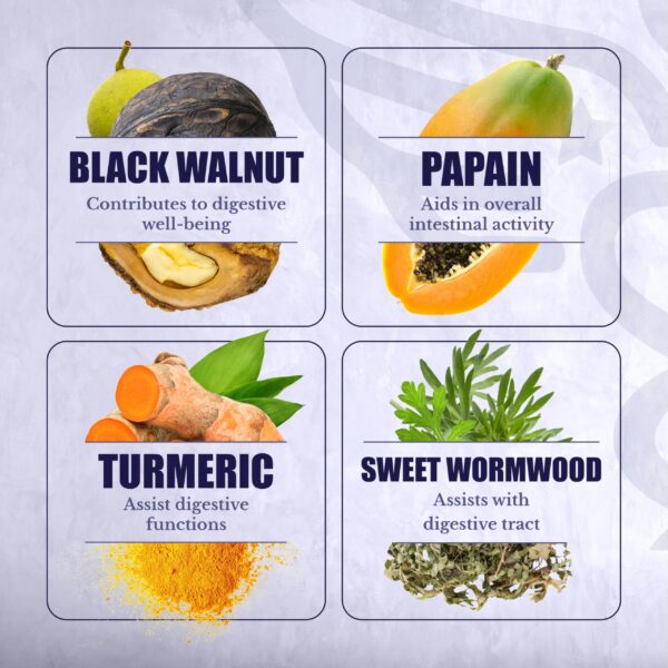 Ingredientes naturales en Cleanse24 suplemento digestivo