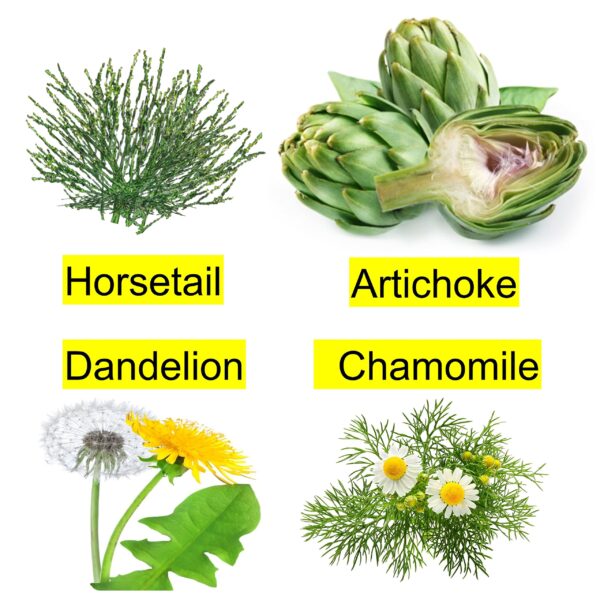 Limpieza hepática gotas concentradas con manzanilla y alcachofa