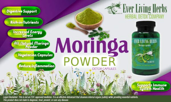 Información nutricional suplemento moringa Ever Living Herbs