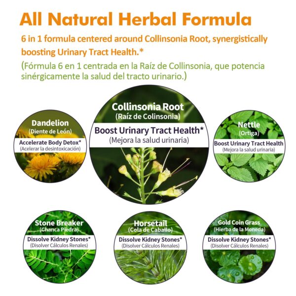 Suplemento natural para disolver cálculos renales y detox