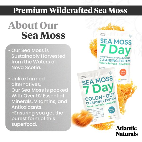 Polvo detox colon con musgo marino sabor piña