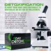 empaque completo wellgenix omni detox 40 capsulas limpieza natural