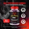 Gomitas NutraVibe Alpha Ignite Max paquete completo vista superior