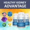 Kidney Shield guía para limpieza renal incluida gratis