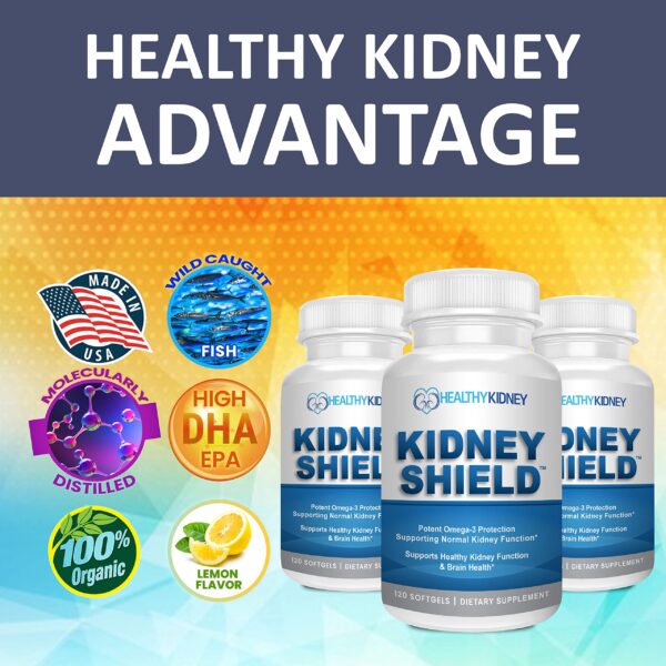 Kidney Shield guía para limpieza renal incluida gratis