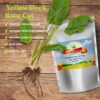 Hierbas frescas de Best Botanicals raíz dock amarillo cortada