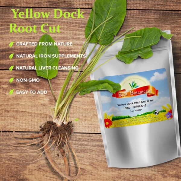 Hierbas frescas de Best Botanicals raíz dock amarillo cortada