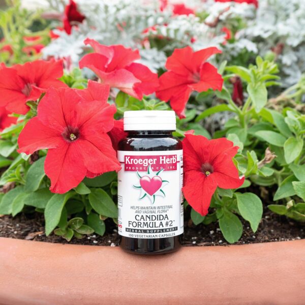 Suplemento Kroeger Herb Cápsulas Candida fórmula natural Suplemento Kroeger Herb Cápsulas Candida fórmula natural