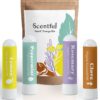Kit SCENTFUL entrenamiento olfativo aceites esenciales orgánicos