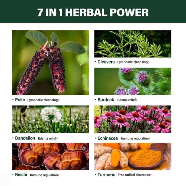 Gotas líquidas Verdeherb para drenaje y desintoxicación