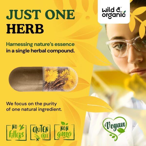 Suplemento natural para soporte hepático con cápsulas de diente de león