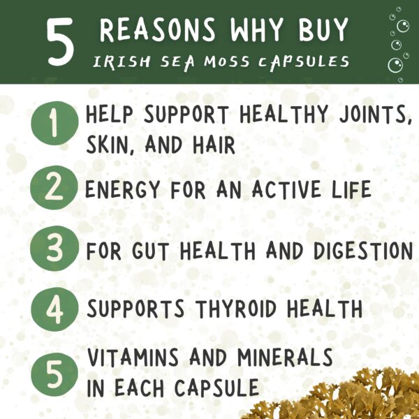 healblend cápsulas moho marino bladderwrack bardana