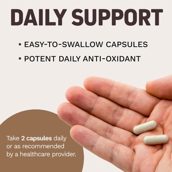 Suplemento Herbtonics con vinagre manzana y keto BHB