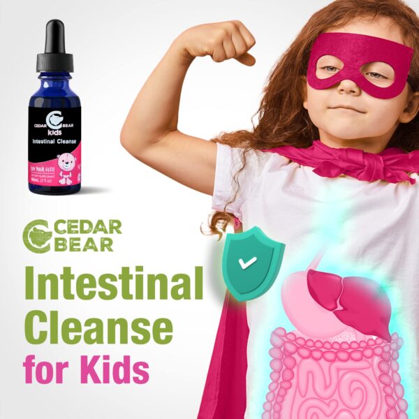 Detox natural digestivo para niños Cedar Bear 60 ml