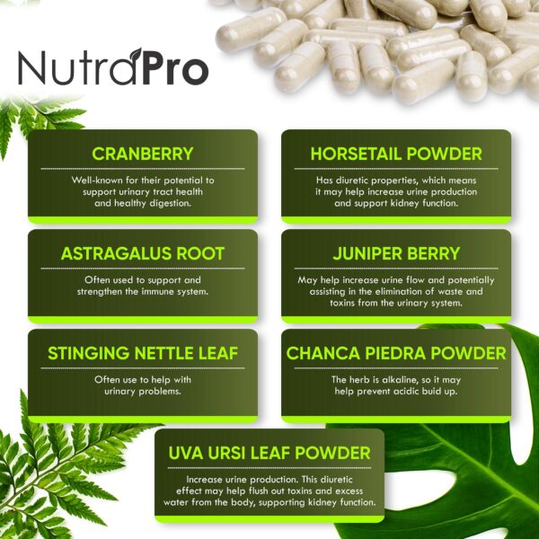 NutraPro suplemento renal natural caja con ingredientes saludables