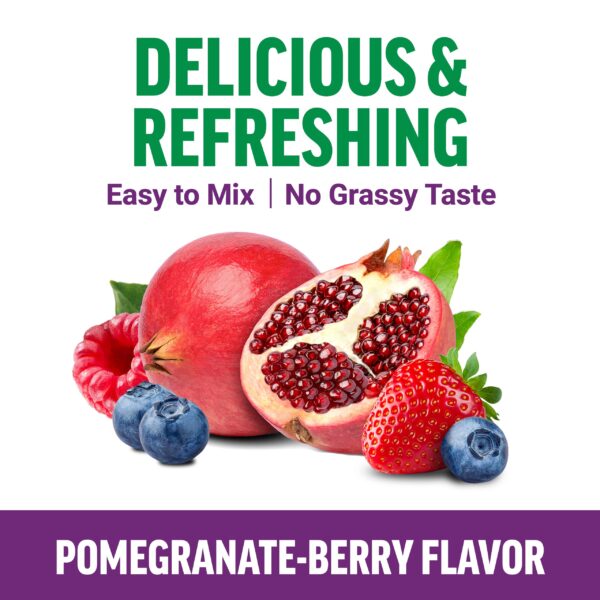 Polvo verde Force Factor Smarter Greens con ingredientes naturales