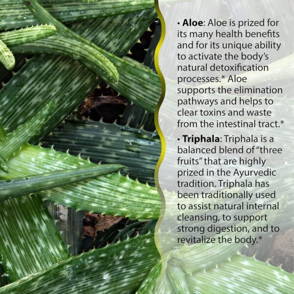 Estuche para pastillas Irwin Naturals Aloe Triphala Set Estuche para pastillas Irwin Naturals Aloe Triphala Set