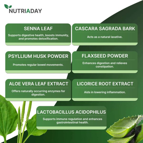 Ingredientes naturales limpieza de colon 15 días NUTRIADAY