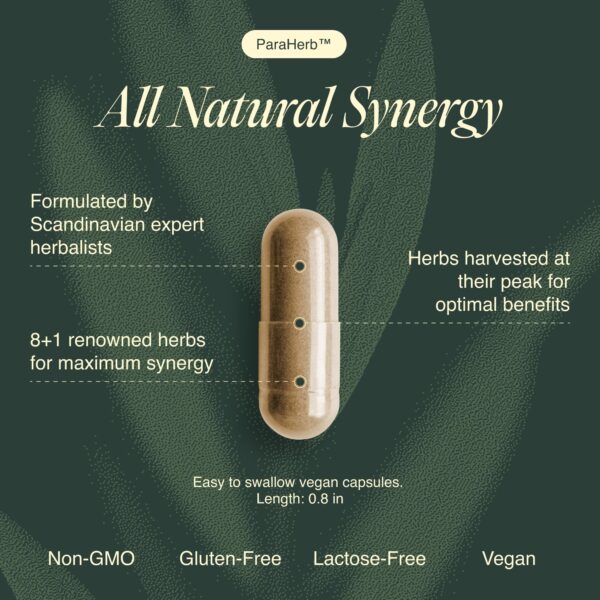 ParaHerb limpieza intestinal extracto cantarela y hierbas