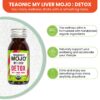 Paquete de 12 botellas TEAONIC My Liver Mojo detox