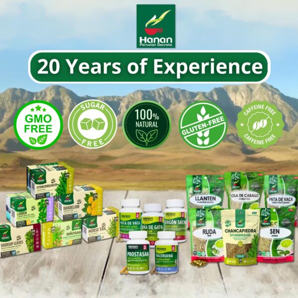 Infusión natural en taza de flor de arena HANAN