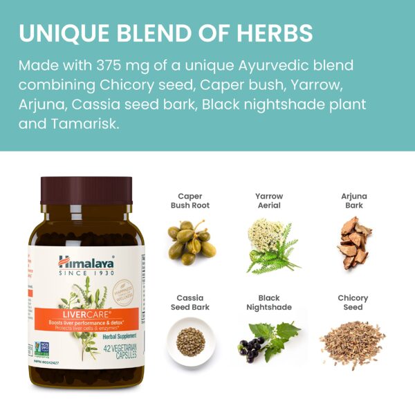Herbal suplemento para hígado Himalaya LiverCare presentación paquete