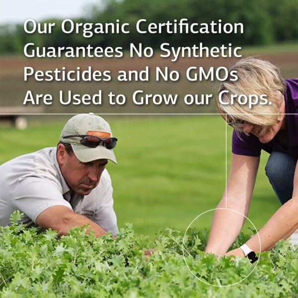 Tabletas detox Rábano Negro Standard Process 90 tabletas