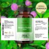 Apoyo digestivo natural con cápsulas Mimosa Pudica Herbamama
