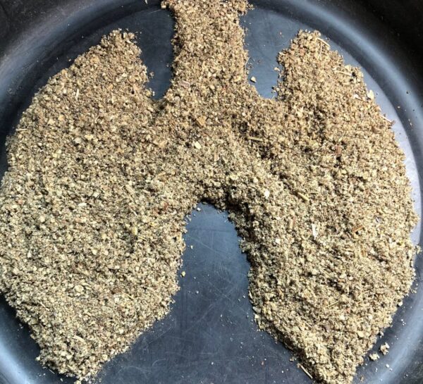 Paquete de té de hoja de gordolobo Undelio 4 oz