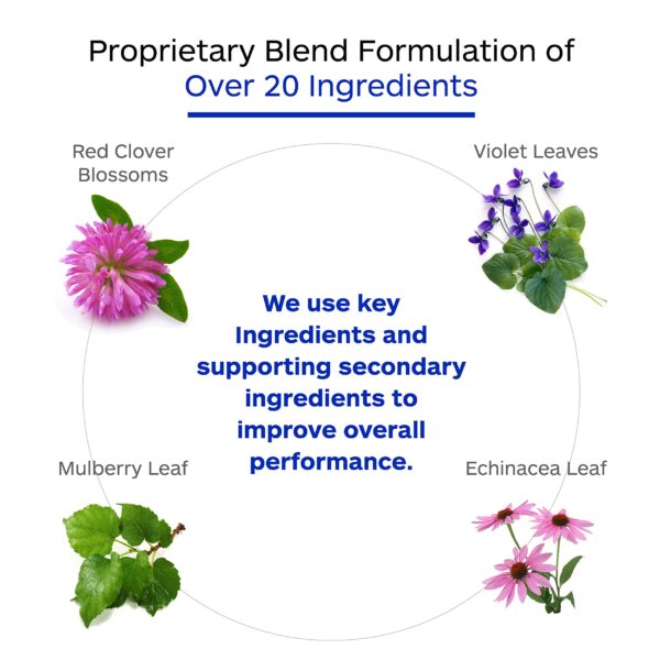 Mezcla enzimática exclusiva para mejor absorción y limpieza celular