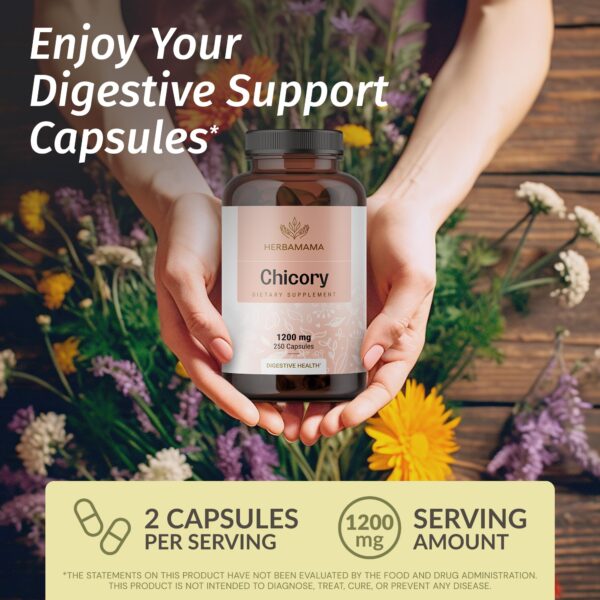 Frasco de cápsulas de raíz de achicoria Herbamama