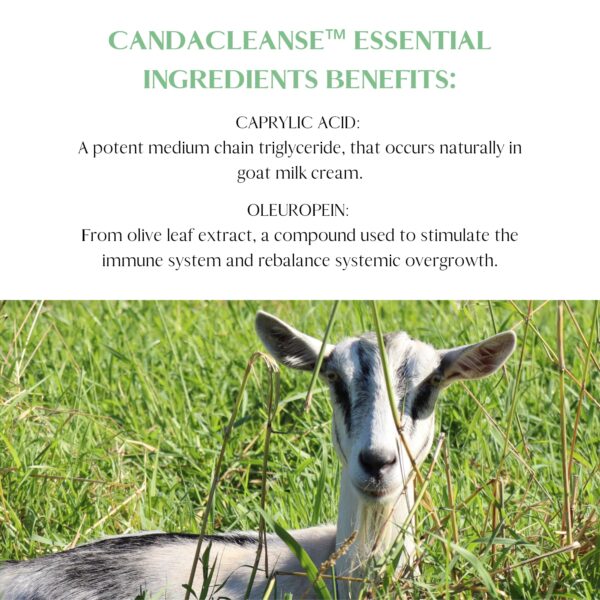 Vista lateral suplemento Mt. Capra CandaCleanse Vista lateral suplemento Mt. Capra CandaCleanse