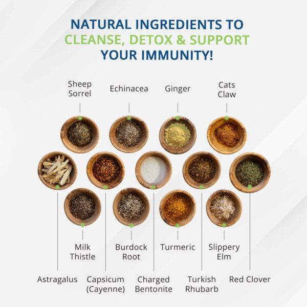 Renova té orgánico detox sin cafeína para limpieza diaria