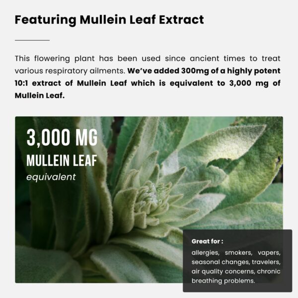 Suplemento nutricional NutraChamps salud respiratoria 60 cápsulas