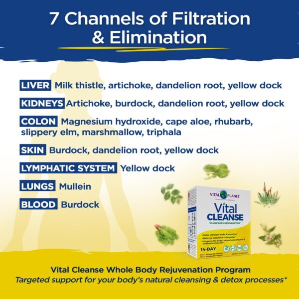 Vital Planet Vital Cleanse ingredientes naturales detallados