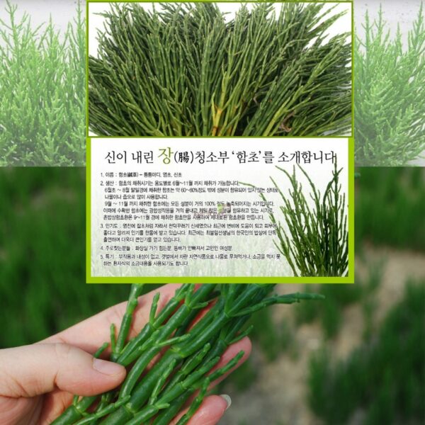 Pastillas Korean Herbal Pills vista superior