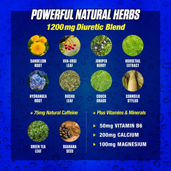 Fórmula MHP Xpel con extractos naturales y electrolitos