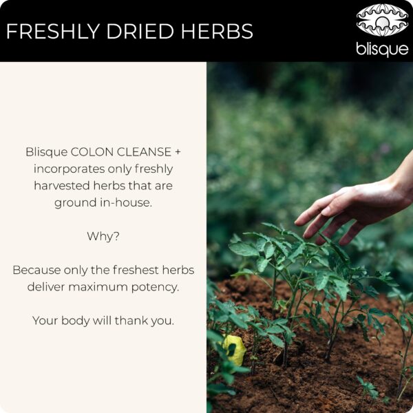 Suplemento natural vegano Blisque para desintoxicar colon