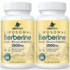 Frascos Corpofuerte Berberina Liposomal 1500 mg 2 paquetes