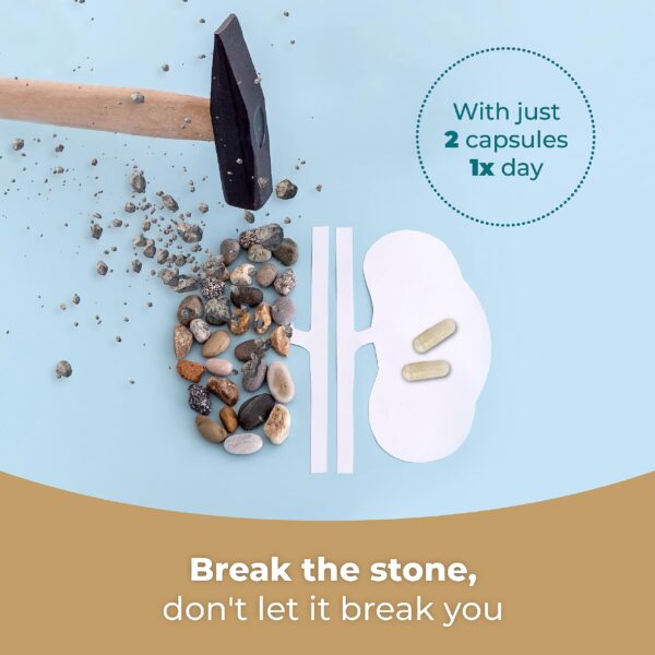 Chanca Piedra hierba para apoyo natural a los riñones