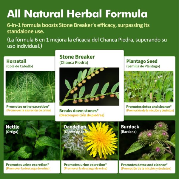 Ingredientes Chanca Piedra y cola de caballo.