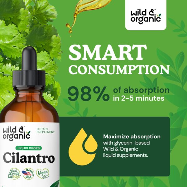 Extracto natural de cilantro en gotas botánico detox