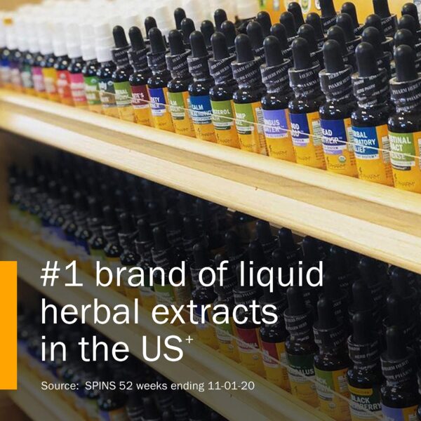 kit herbal natural para limpieza y soporte digestivo