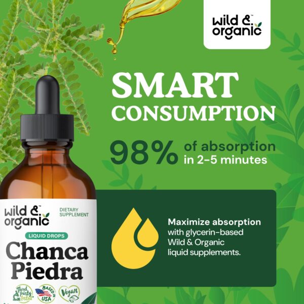 Apoyo natural para eliminación de piedras de riñón con chanca piedra