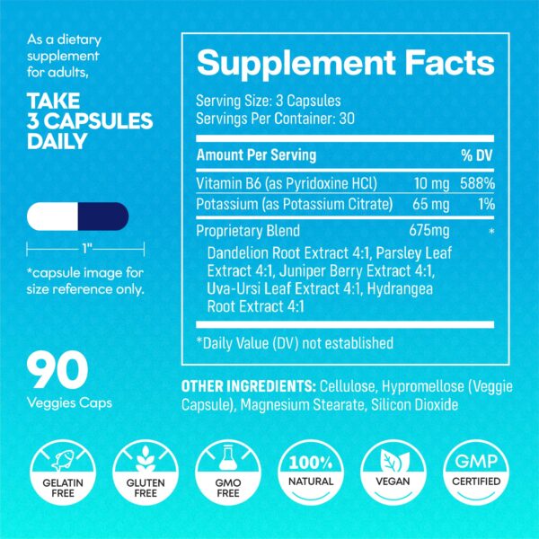 Diuréticos naturales para mejorar movilidad y bienestar general