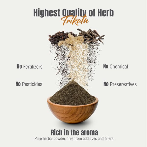 Fórmula ayurvédica tradicional para digestión HerbsForever