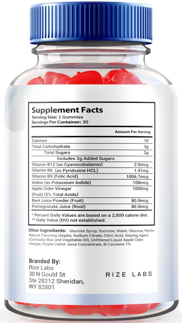 rize labs 1st Choice Keto ACV Gomitas vista trasera