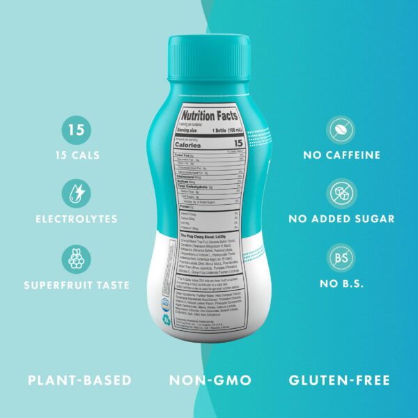 Botellas individuales The Plug bebida detox herbal planta