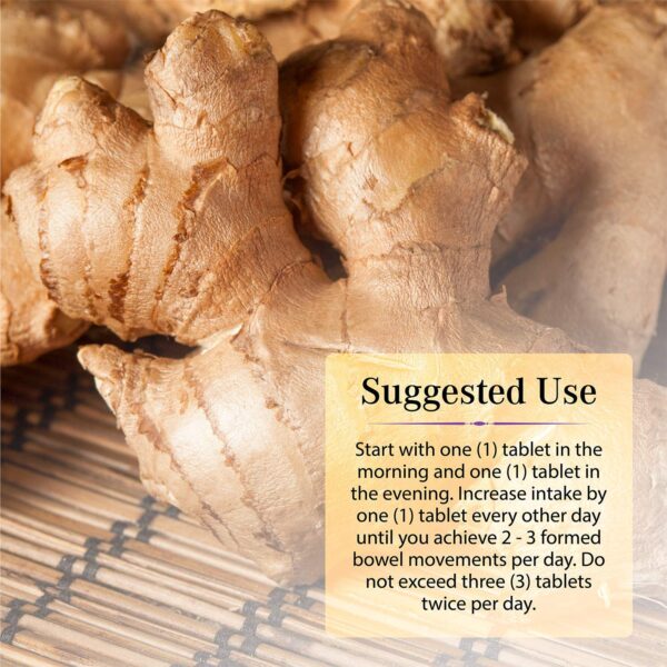 Nature's Secret suplemento detox con mezcla de 14 hierbas y probióticos